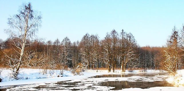 Метеорологи рассказали о самой холодной и теплой зимах в Беларуси
