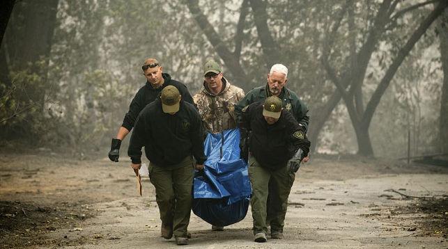 Число жертв лесных пожаров в Калифорнии увеличилось до 31 человека