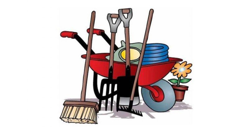 Порядок на земле начинается с каждого: что должны знать жители и организации?