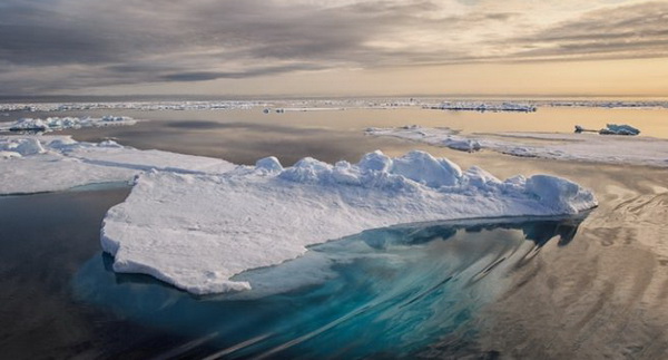 Северный Ледовитый океан: особенности и факты