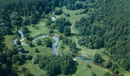 Качество окружающей среды в Беларуси остается стабильно благополучным – Худык