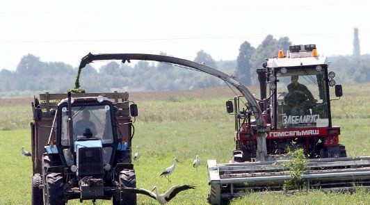Хозяйства Беларуси провели второй укос трав более чем на 40% площадей