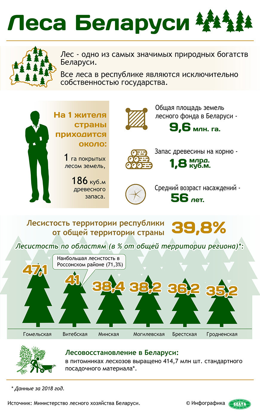 Леса Беларуси