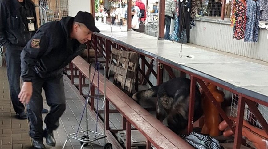 Служебная собака нашла 1,4 кг насвая под прилавком на рынке в Гомеле