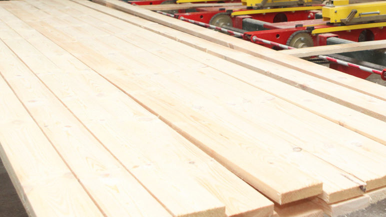 Проект указа по повышению эффективности реализации древесины направлен на рассмотрение Президенту