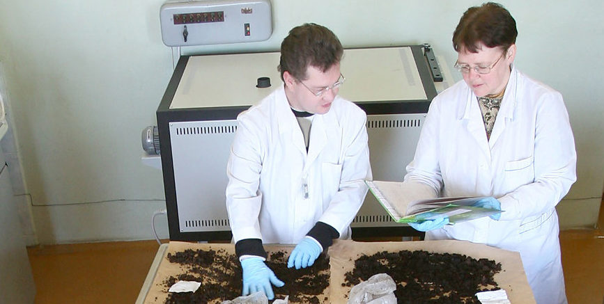 Ученые подготовили уникальное исследование почв Беларуси