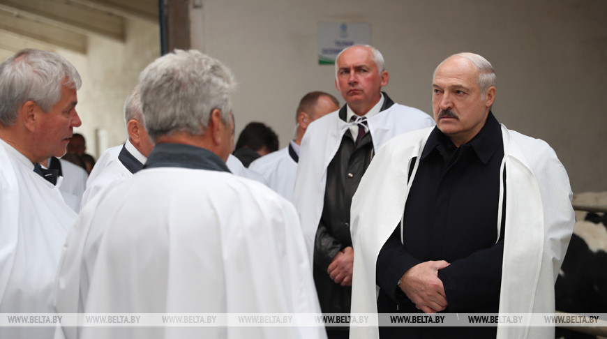 Лукашенко: опыт создания интеграционных структур в АПК может быть востребован во всех регионах Беларуси