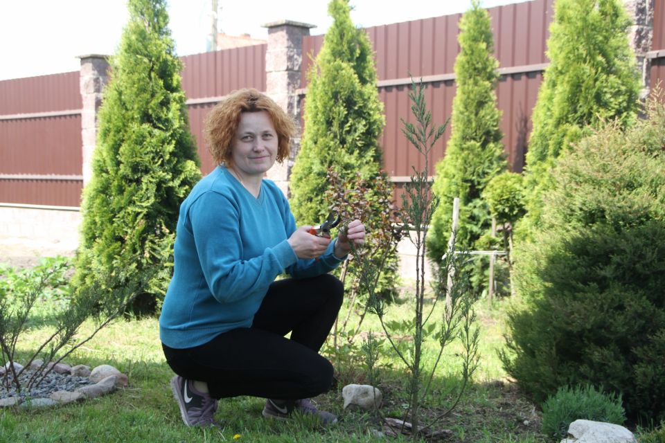 Выращивать хвойные растения не так уж сложно