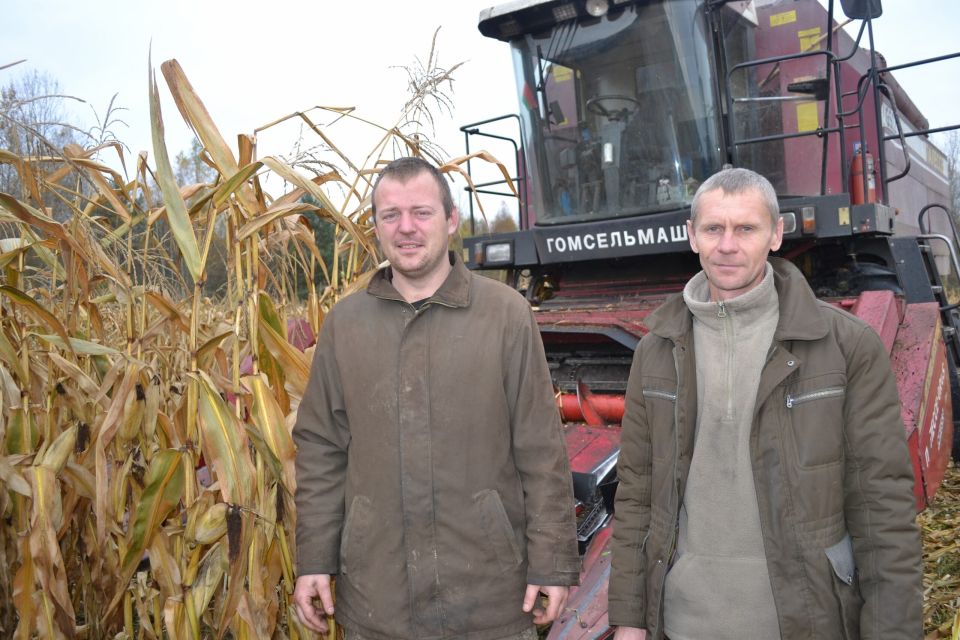 ОАО «Хотимский райагроснаб» ставит на кукурузу