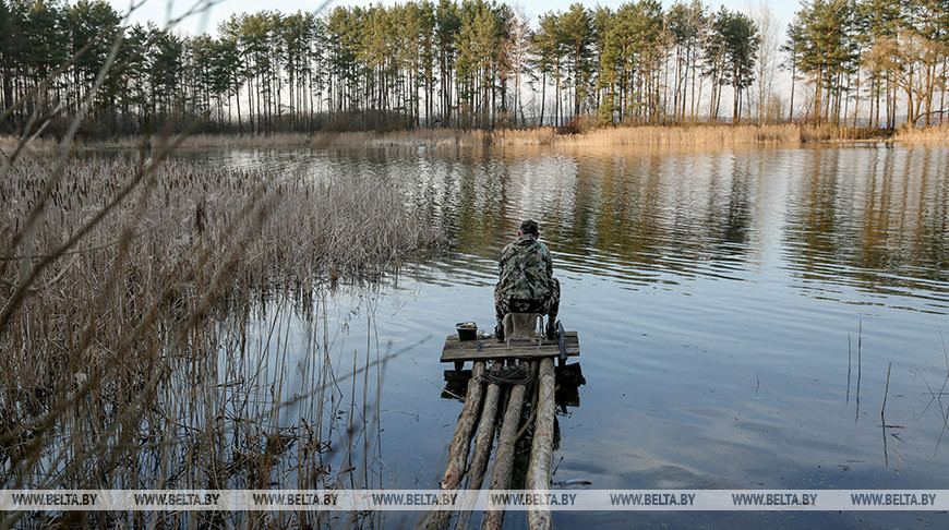 В Беларуси с 15 апреля вводится запрет на лов судака