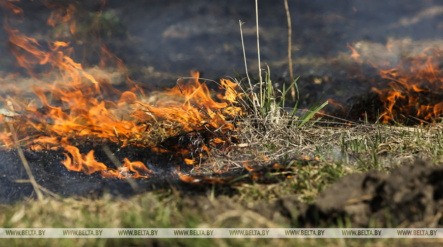 В Барановичском районе пенсионерка получила ожоги при выжигании сухой травы