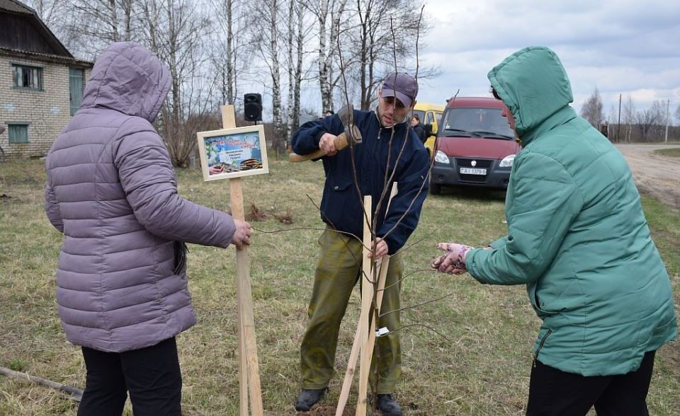 Жители Хотимского района приняли участие в посадке саженцев плодовых деревьев в д. Юзефовка