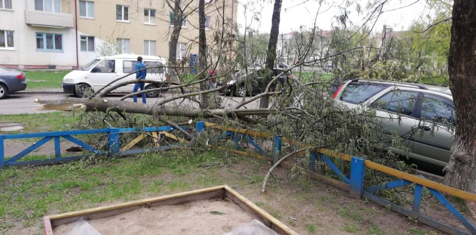 Последствия усиления ветра в Могилевской области