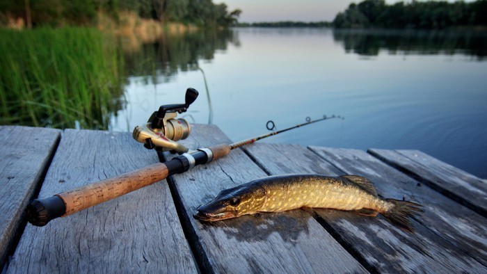 В Беларуси введены жесткие ограничения рыболовства