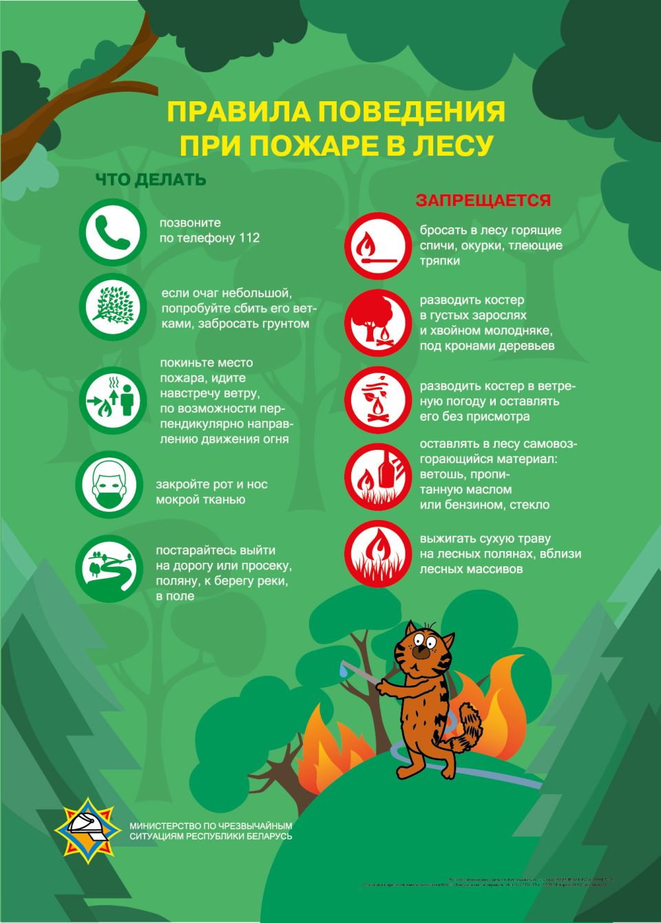 Соблюдайте меры пожарной безопасности при посещении лесных массивов