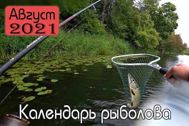 Лунный календарь клева рыбы на Август 2021 года