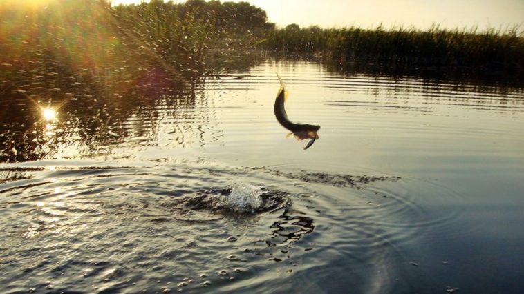 Рыбалка осенью
