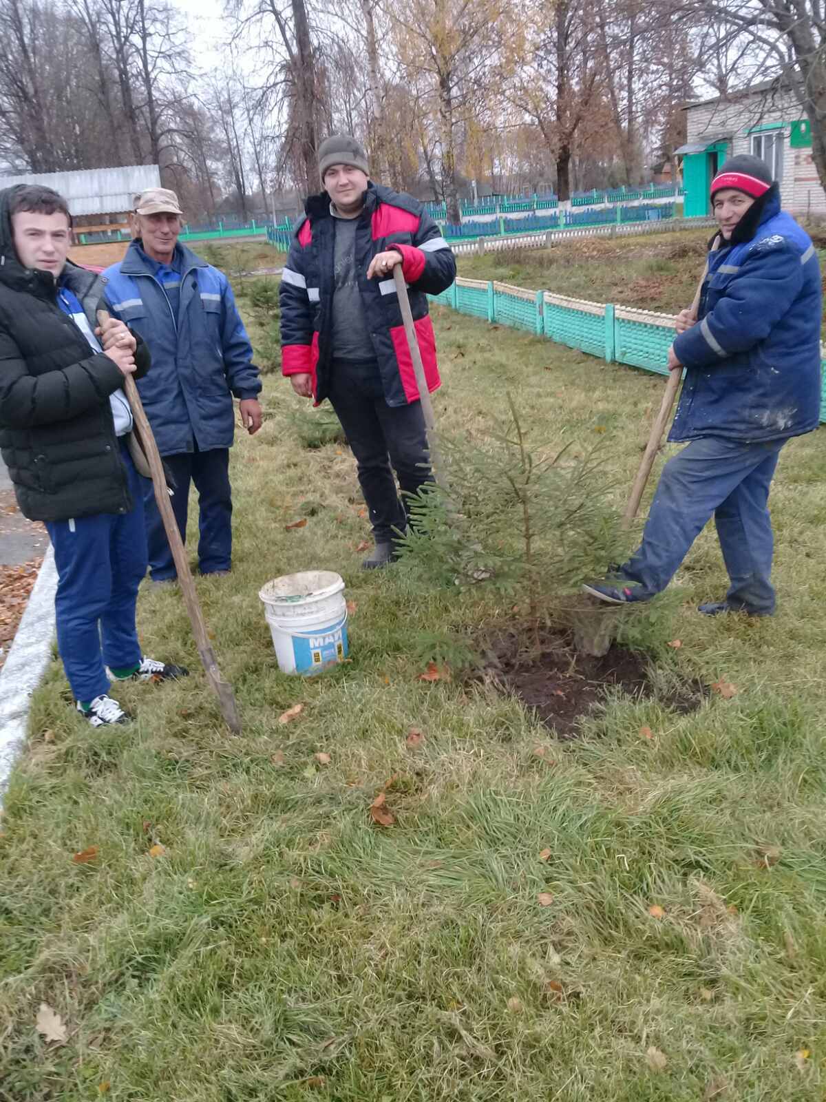 На территории Великолиповского сельского Совета появились 65 новых деревьев