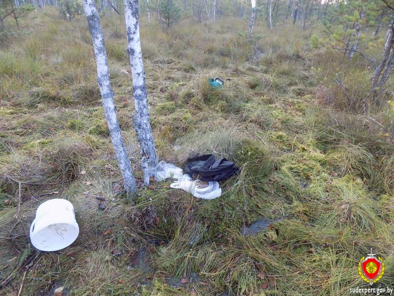В лесу Кличевского района обнаружили мертвую женщину
