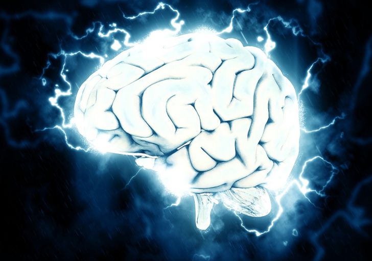 Почему уменьшился мозг современного человека: результаты исследования
