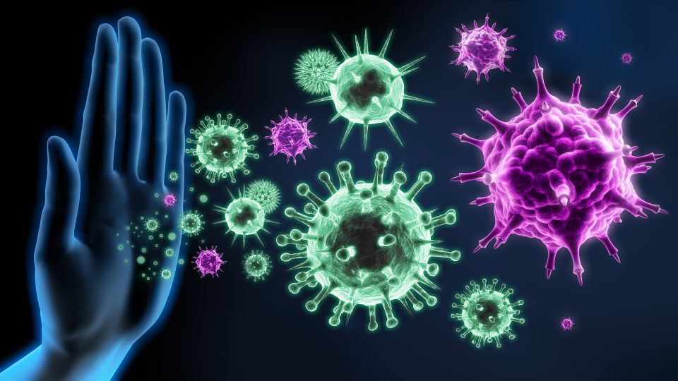 Переболевшие коронавирусом и затем вакцинированные имеют сильнейший иммунитет к COVID-19 – инфекционист