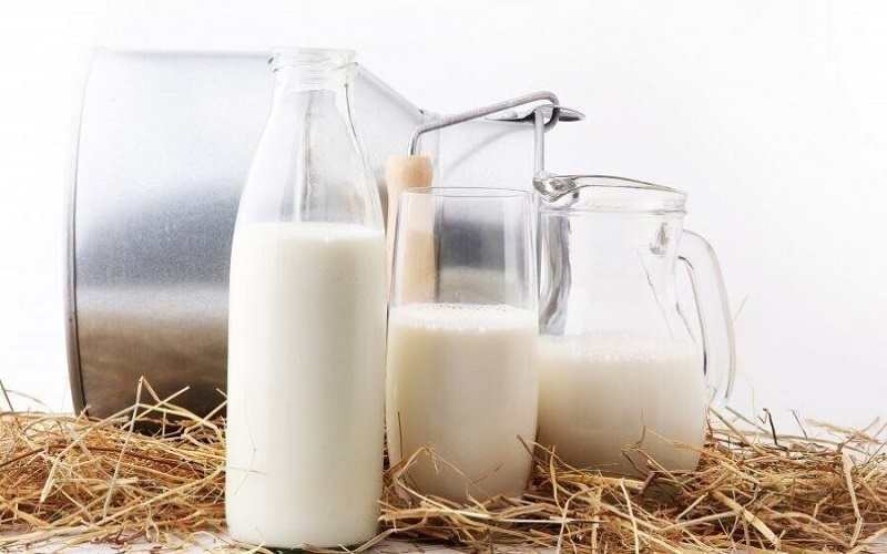 На 3,8% увеличен объем производства молока в Могилевском районе