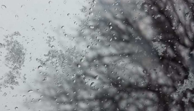 От дождя до снега ожидается в первой половине следующей недели в Могилевской области