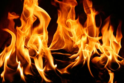На пожаре в Кричевском районе погиб мужчина