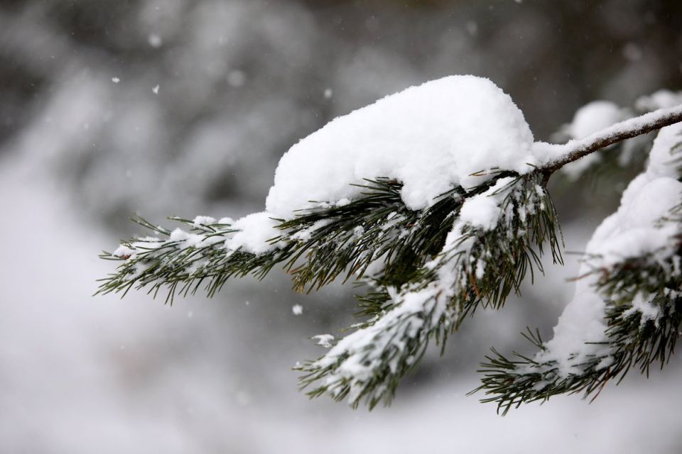 Оранжевый уровень опасности из-за сильного снегопада объявлен в Могилевской области 3 января