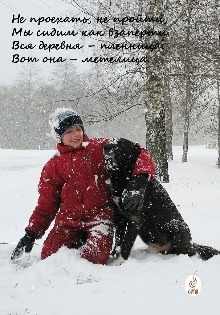 Подведены итоги районного фотоконкурса «Зима с БРПО»