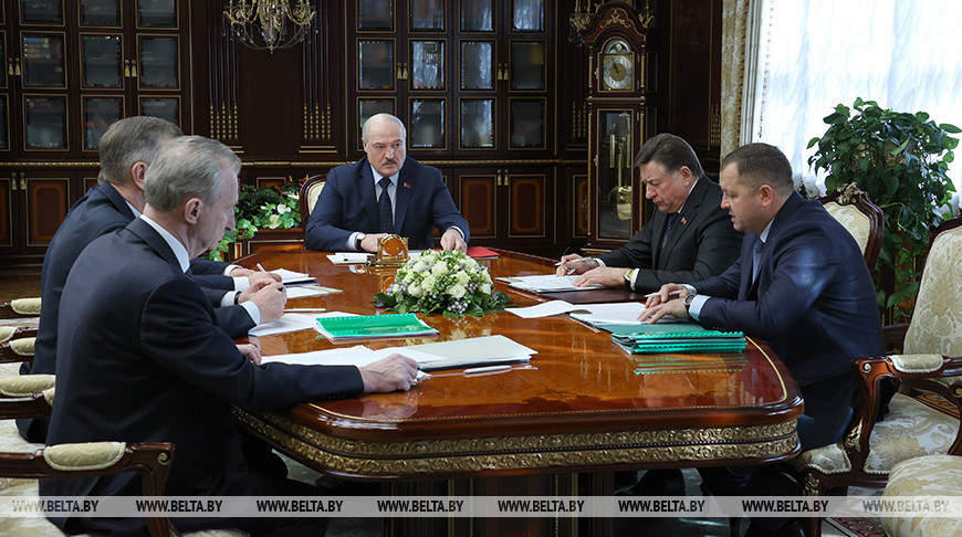 Лукашенко принял с докладом чиновников по наведению порядка в лесах после январской стихии