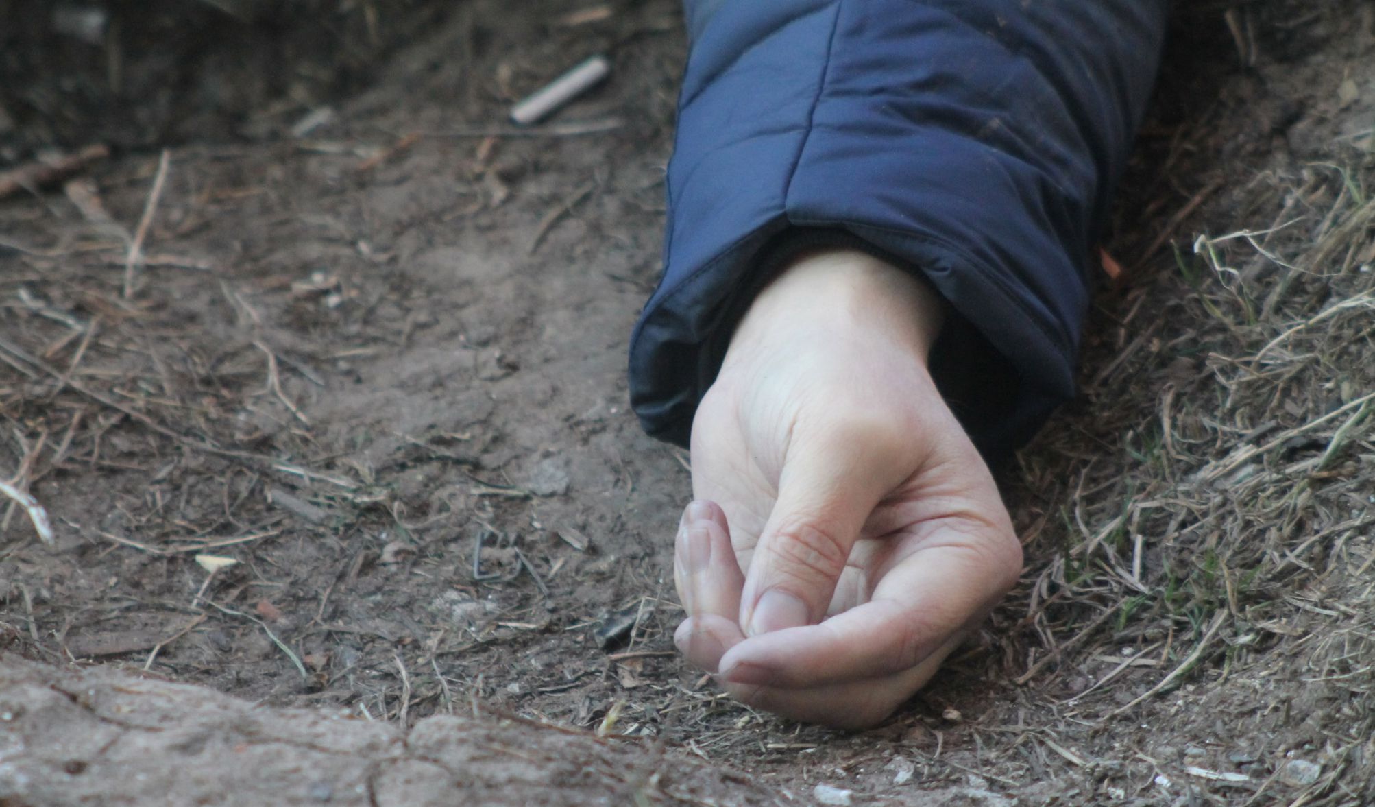 На территории лесопосадки в Бобруйске найден мертвый мужчина