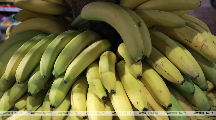 Фермеры в Эквадоре протестуют из-за невозможности поставлять бананы в Россию