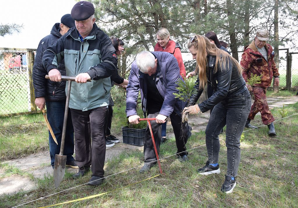 Члены Хотимской районной организации Коммунистической партии Беларуси высадили аллею из деревьев и установили памятную табличку на месте захоронения жертв нацизма