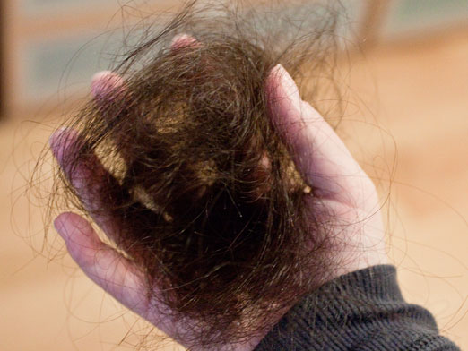 Мужчина в Могилеве решил конфликт с женщиной, вцепившись ей в волосы. Видео