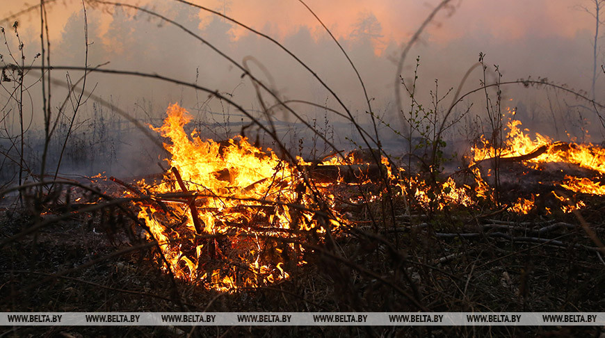 В Испании горят заповедные леса: эвакуированы 1,8 тыс. человек