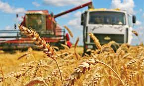 Готовы ли сельскохозяйственные организации Хотимского района к уборке урожая зерновых и зернобобовых культур в 2022 году?