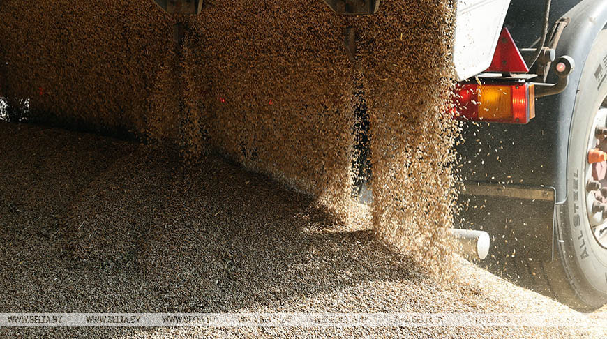 В Турции заявили, что по зерновому коридору могут доставить до 50 млн т зерна