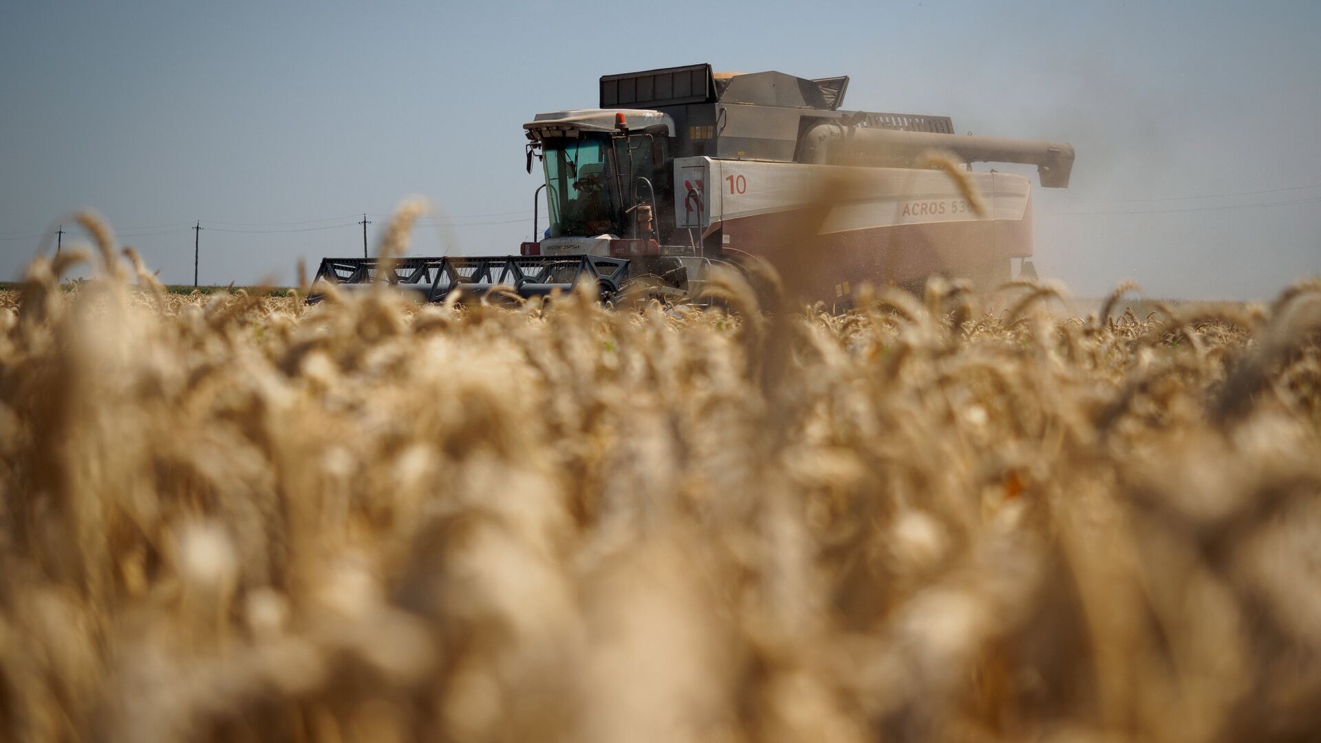 В Беларуси началась массовая уборка зерновых