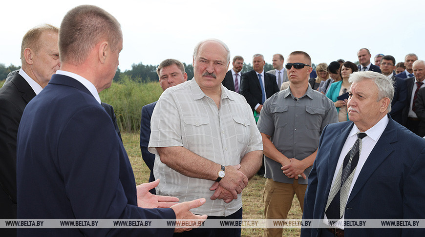 Лукашенко продолжает серию выездов в регионы по сельхозтематике, в этот раз главная тема – семеноводство