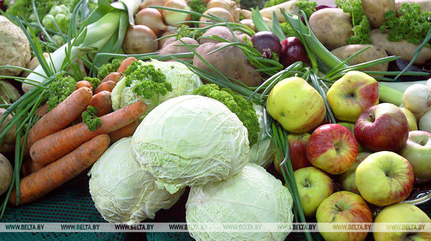 Лукашенко поручил максимально заполнить в стране хранилища плодоовощной продукции