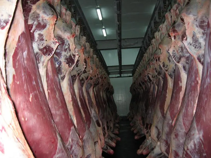 В Могилевской области задержаны крупные партии мяса