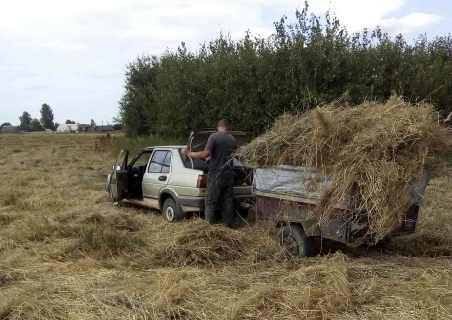 Хищение соломы с поля предотвратили в Климовичах