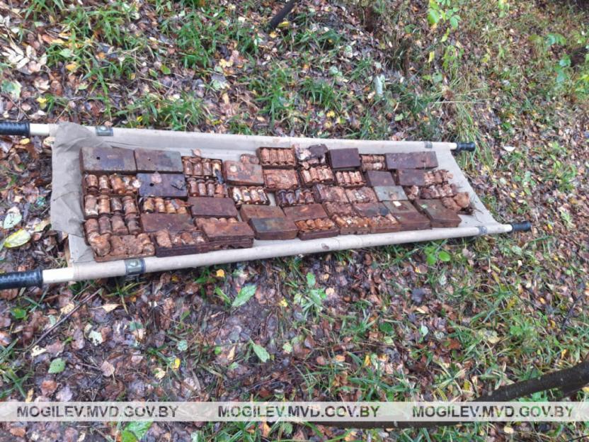 Более 570 боеприпасов времен Великой Отечественной войны обнаружили в Чаусском районе
