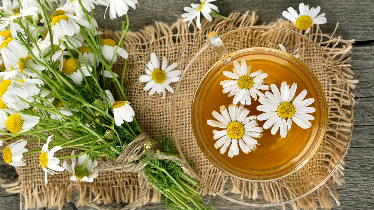 Почему осенью в обязательном порядке стоит пить ромашковый чай: медики составили список аргументов