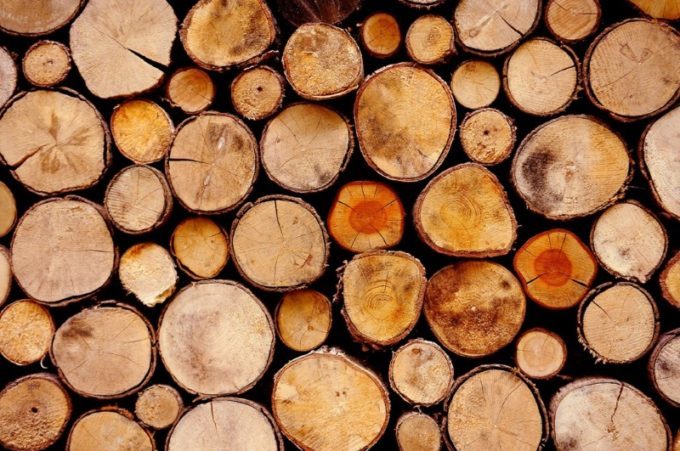 Минлесхоз урегулировал вопросы реализации древесины физлицам