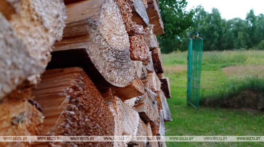 Директор лесхоза в Белыничском районе допустил недостачу дров почти на Br60 тыс.