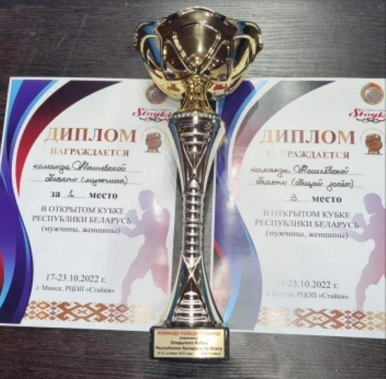 Мужская команда Могилевской области выиграла Кубок Беларуси по боксу
