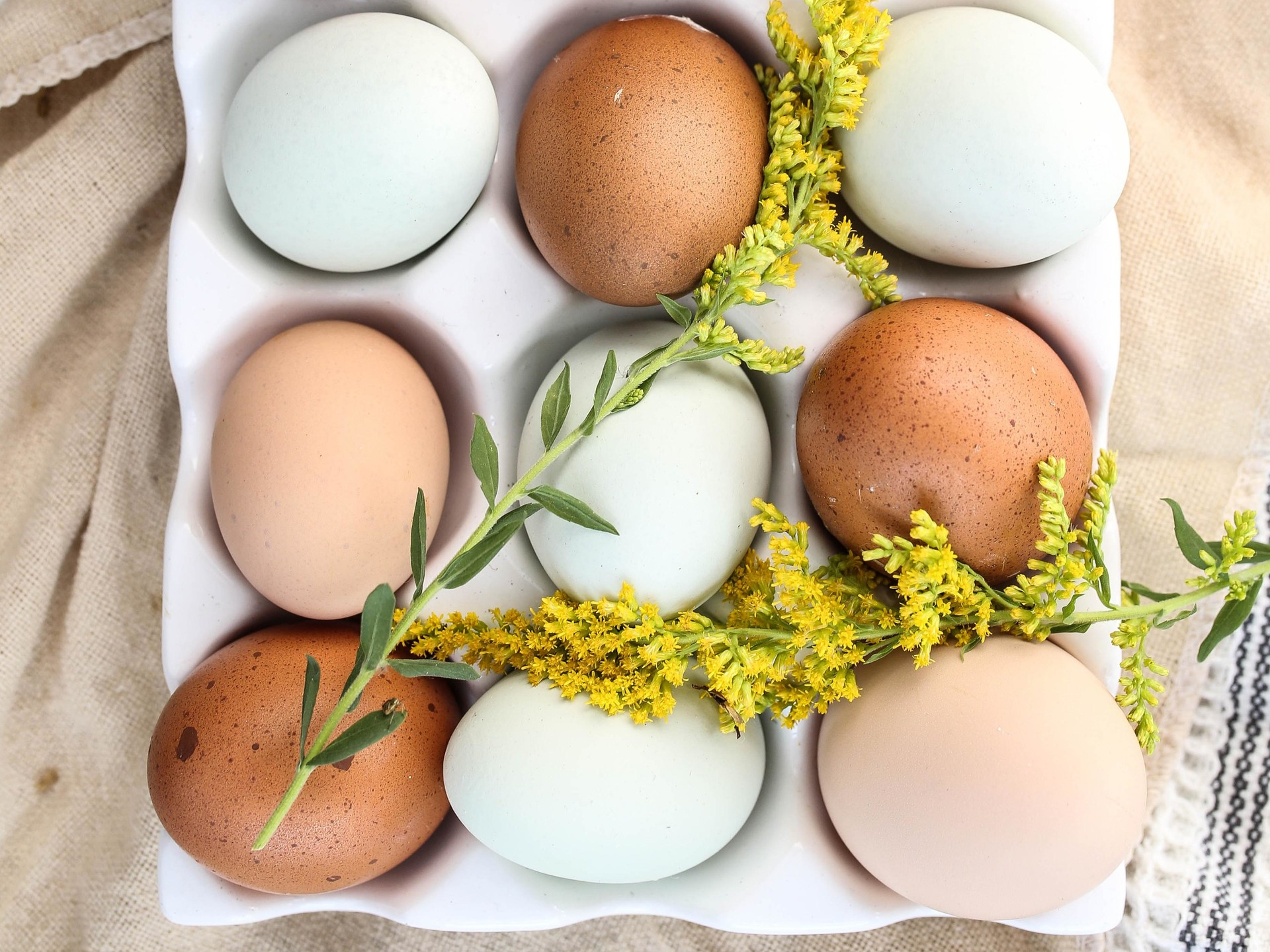 Какие яйца полезнее есть: яйца вкрутую или всмятку