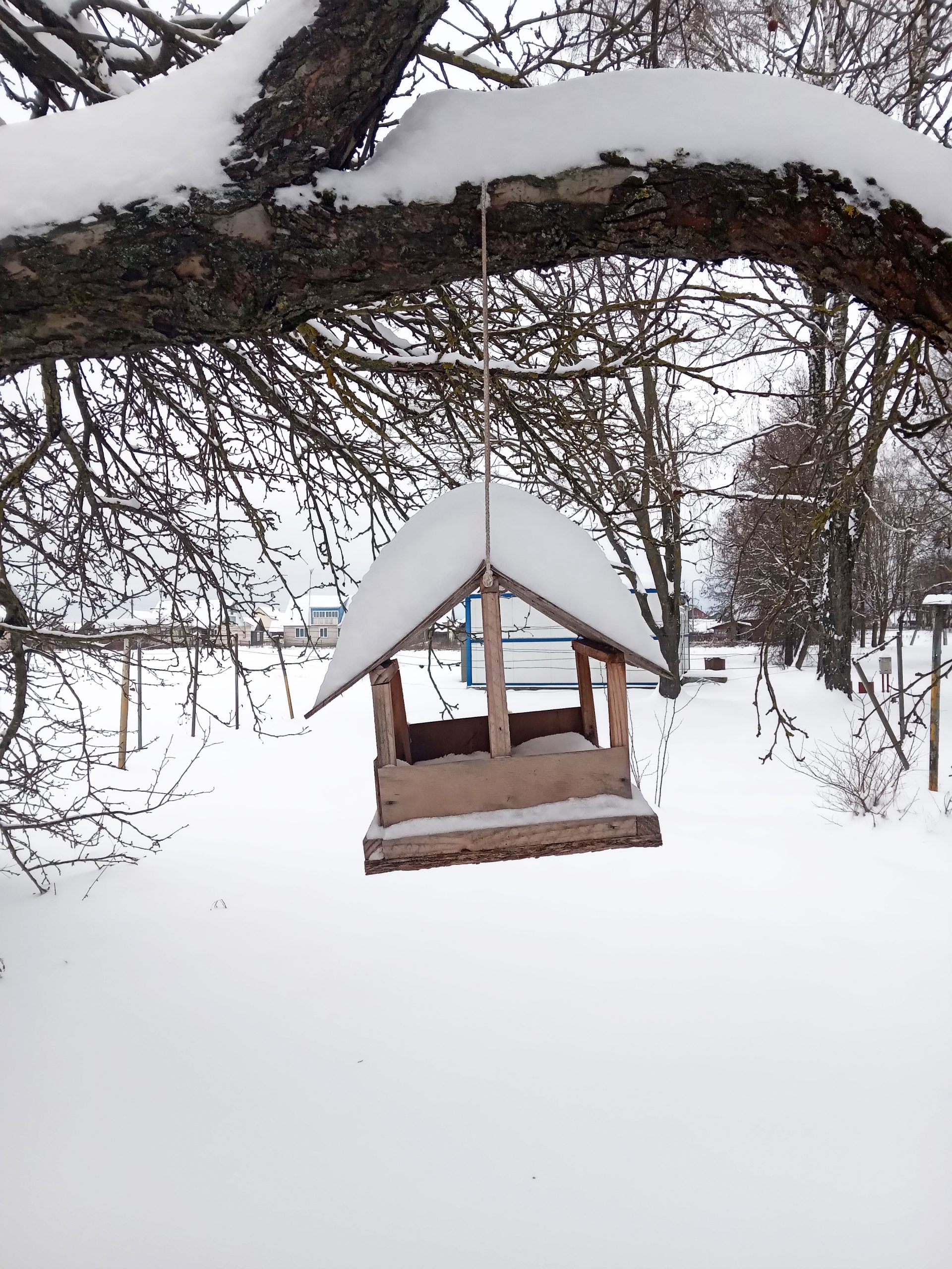 От 70 до 130% декадной нормы снега выпало за сутки в Могилевской области